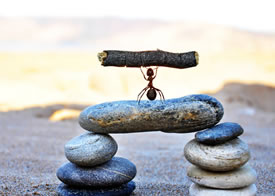 关于数卡购2026年服务模式及价格调整的重要公告